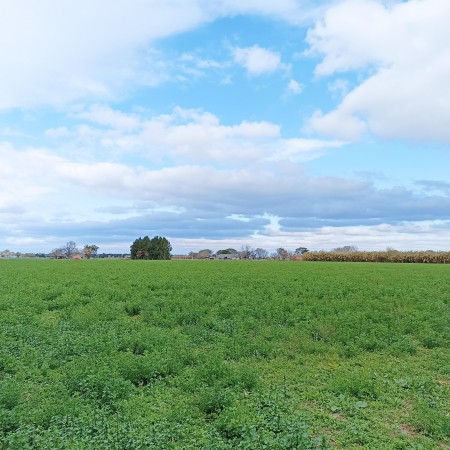 Campo de 5 Hectáreas en venta