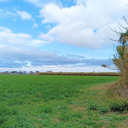 Campo de 5 Hectáreas en venta