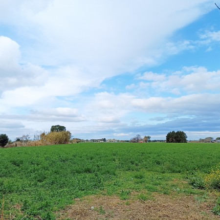 Campo de 5 Hectáreas en venta