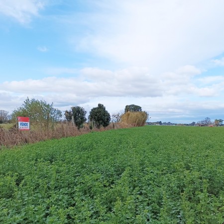 Campo de 5 Hectáreas en venta