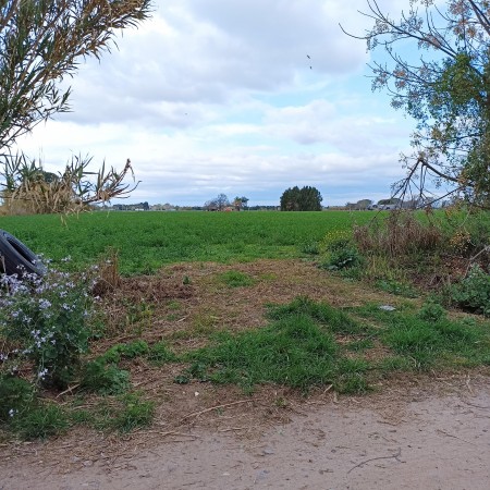 Campo de 5 Hectáreas en venta