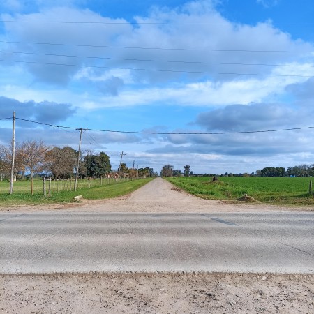 Campo de 5 Hectáreas en venta