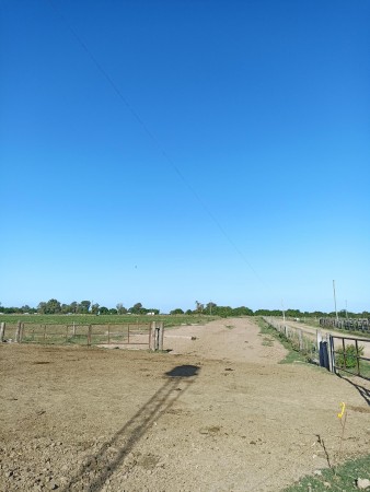 Campo de 93 hectáreas