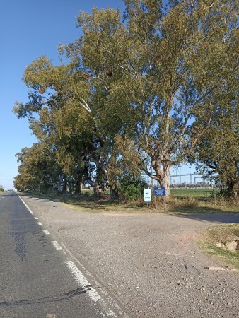Campo de 93 hectáreas