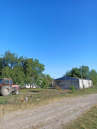 Campo de 93 hectáreas