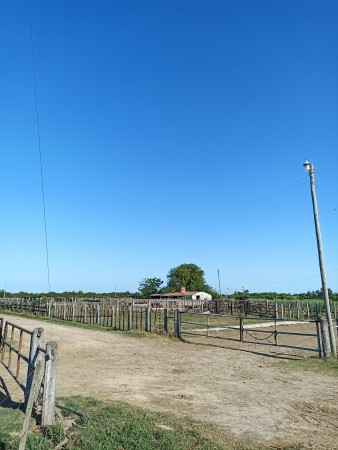 Campo de 93 hectáreas