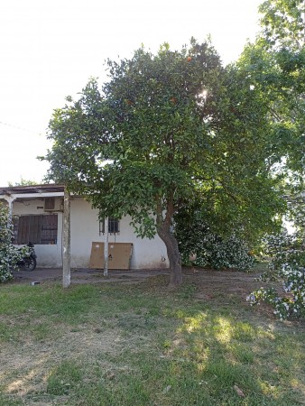 Campo de 93 hectáreas