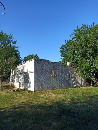 Campo de 93 hectáreas