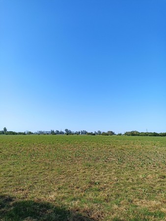 Campo de 93 hectáreas