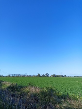 Campo de 93 hectáreas