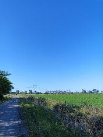Campo de 93 hectáreas