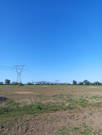 Campo de 93 hectáreas