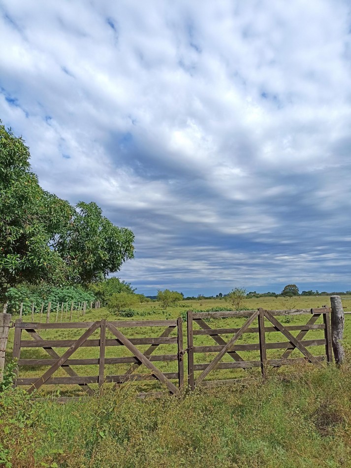 Campo en venta en Helvecia - Santa Fe 