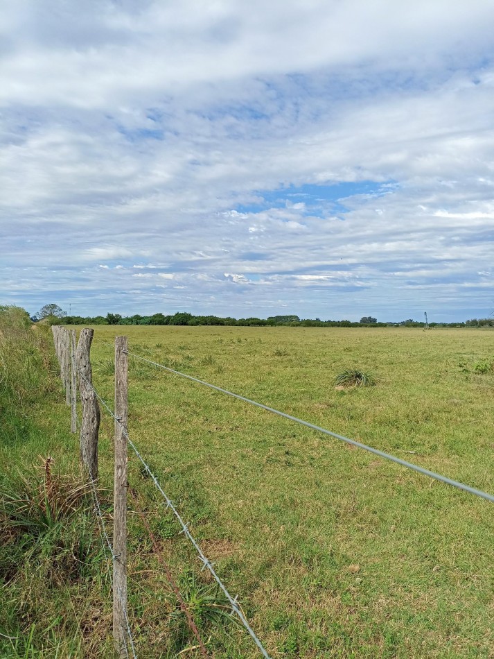 Campo en venta en Helvecia - Santa Fe 