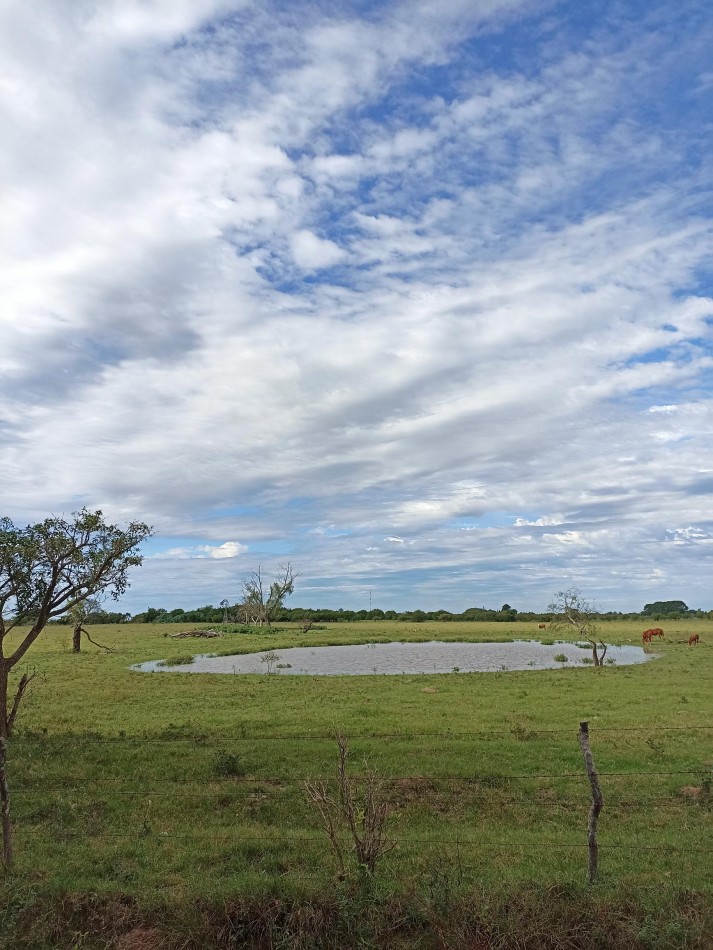 Campo en venta en Helvecia - Santa Fe 