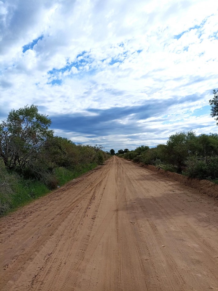 Campo en venta en Helvecia - Santa Fe 