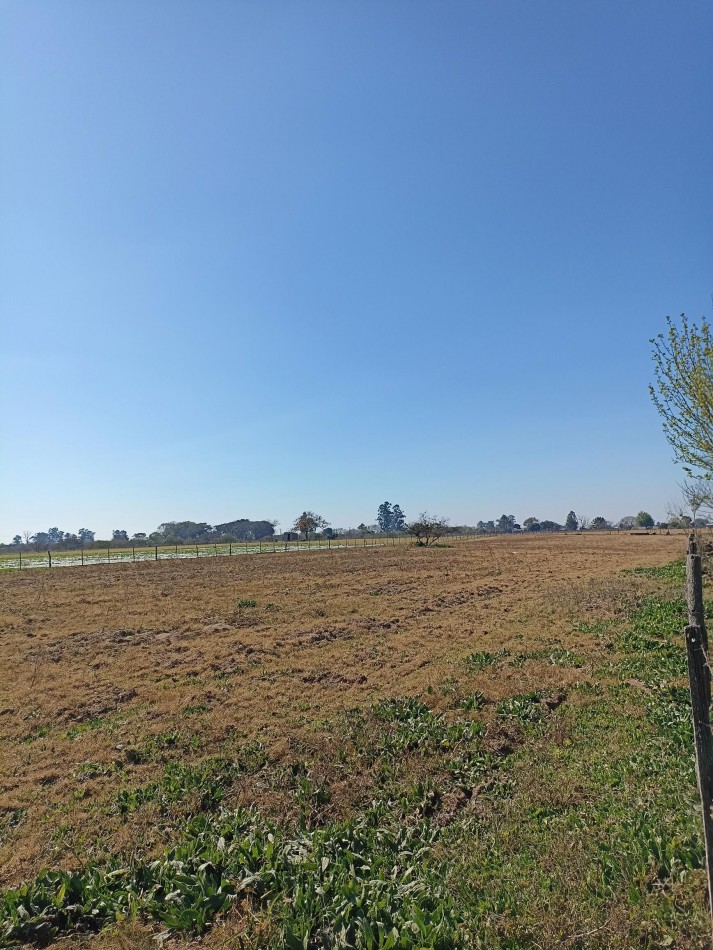 Campo en venta en Helvecia 