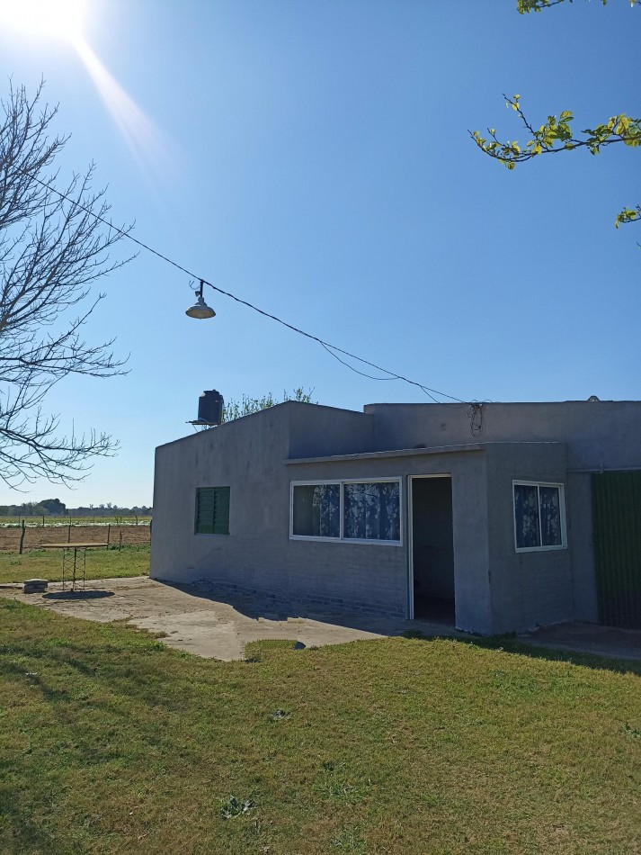 Campo en venta en Helvecia 