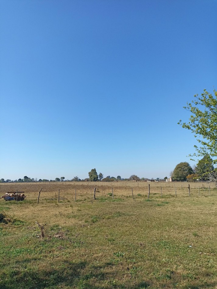 Campo en venta en Helvecia 