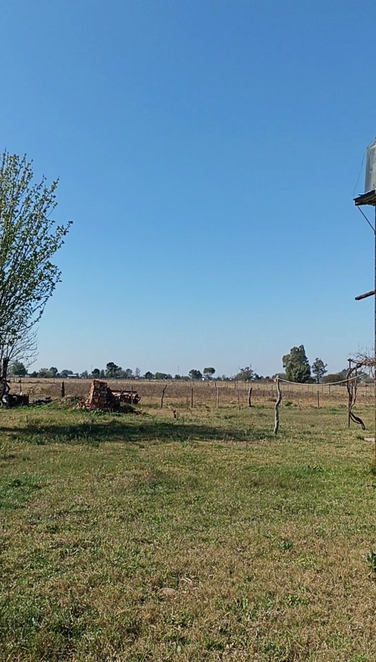 Campo en venta en Helvecia 