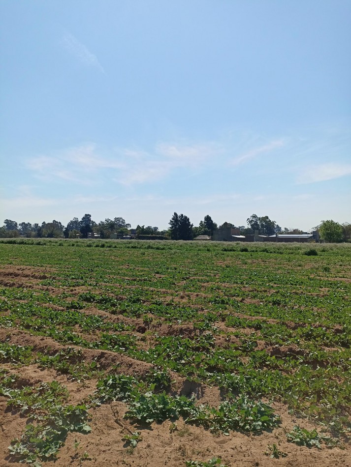 Campo en venta en Santa Rosa de Calchines 