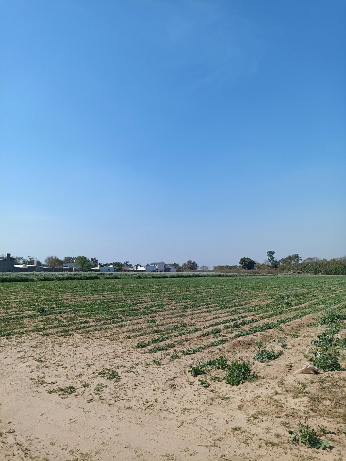 Campo en venta en Santa Rosa de Calchines 