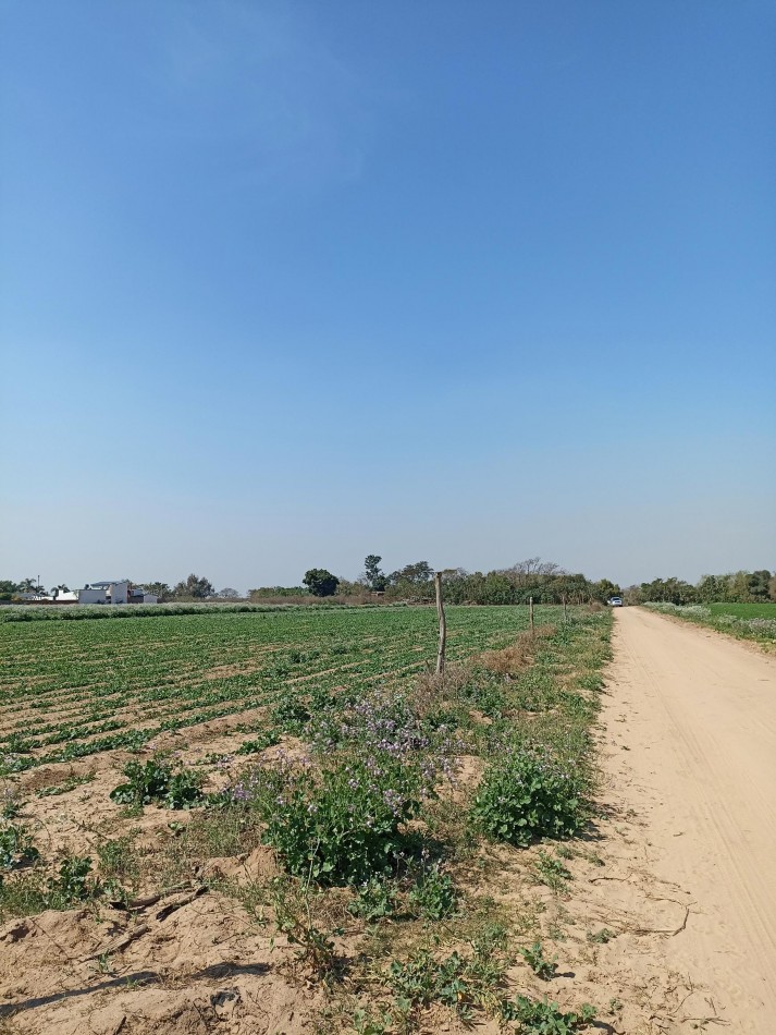 Campo en venta en Santa Rosa de Calchines 