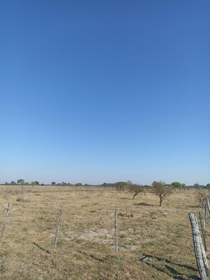 Campo en venta en Helvecia 