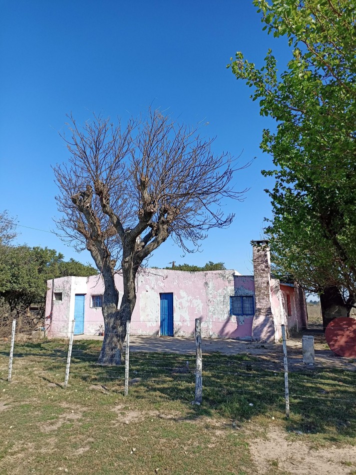 Campo en venta en Helvecia 