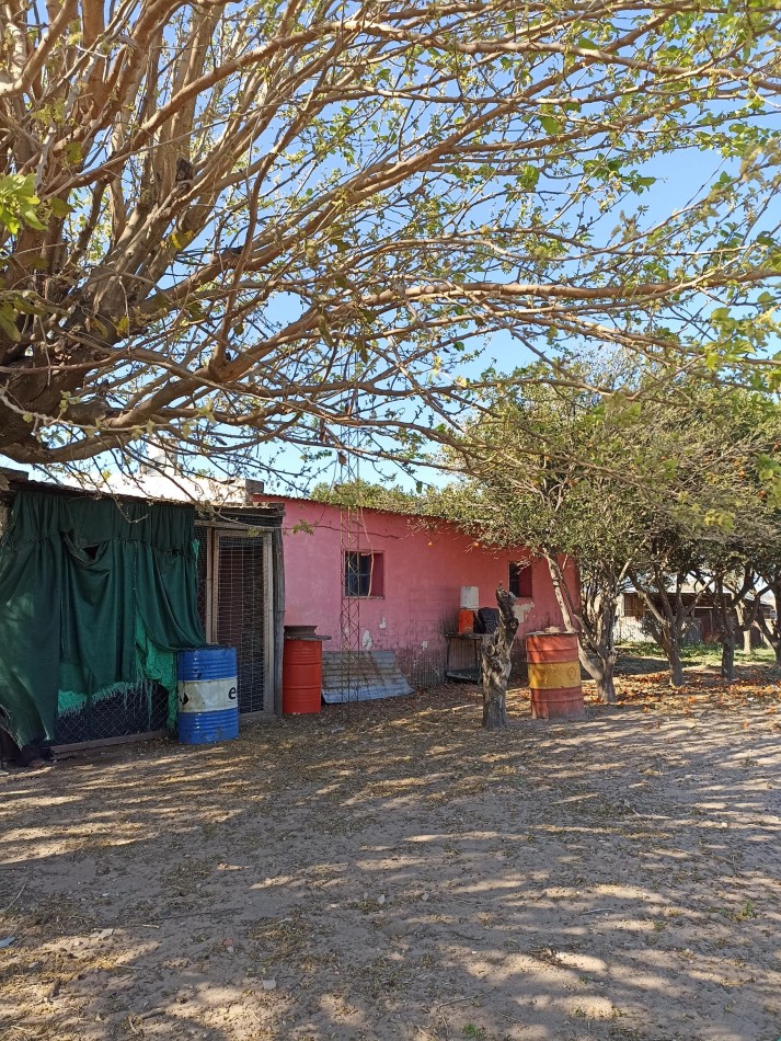 Campo en venta en Helvecia 