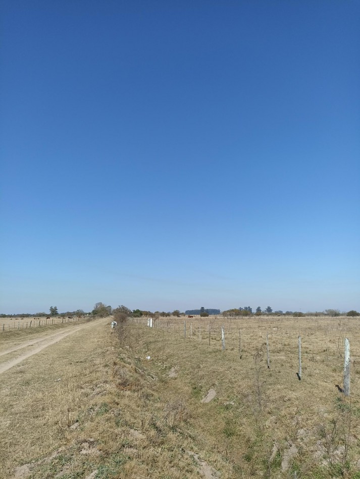 Campo en venta en Helvecia 