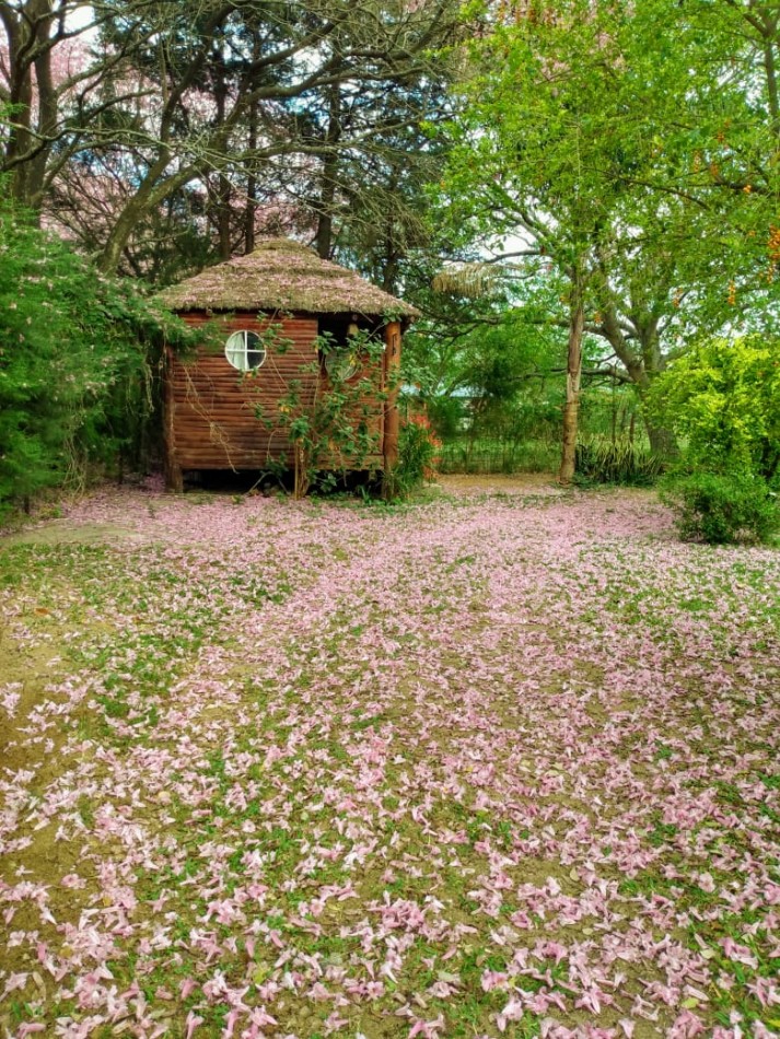 Casa en venta 