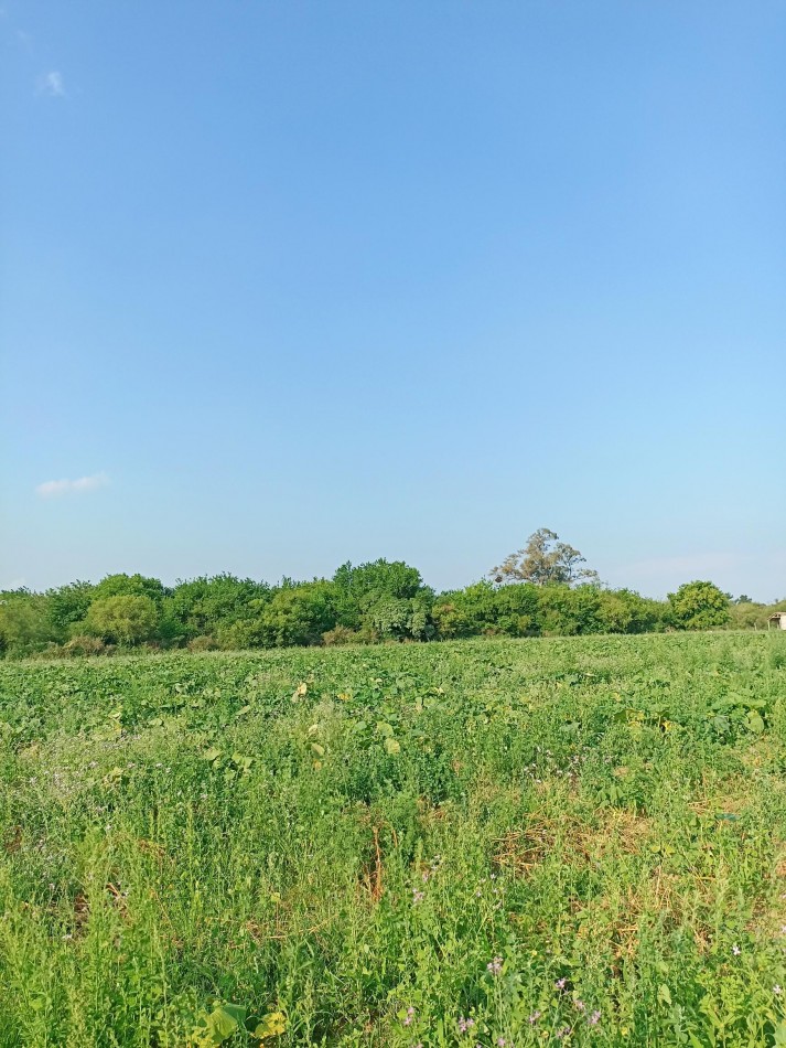 Campo en venta en Santa Rosa de Calchines 