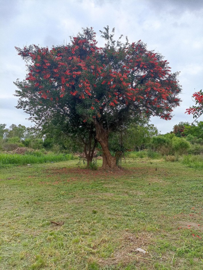 Terreno en venta en Recreo