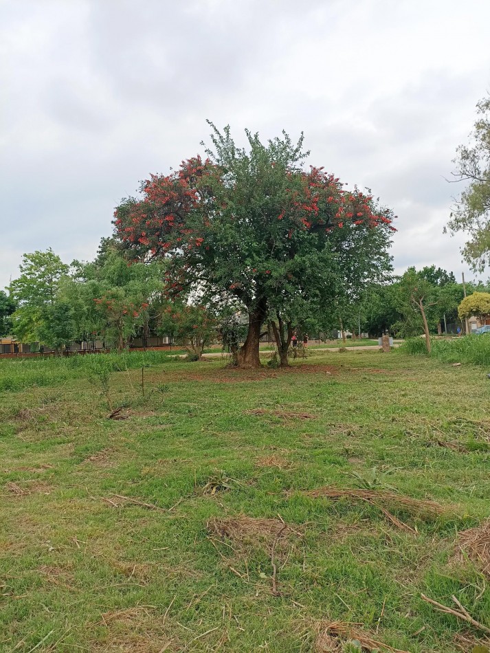 Terreno en venta en Recreo