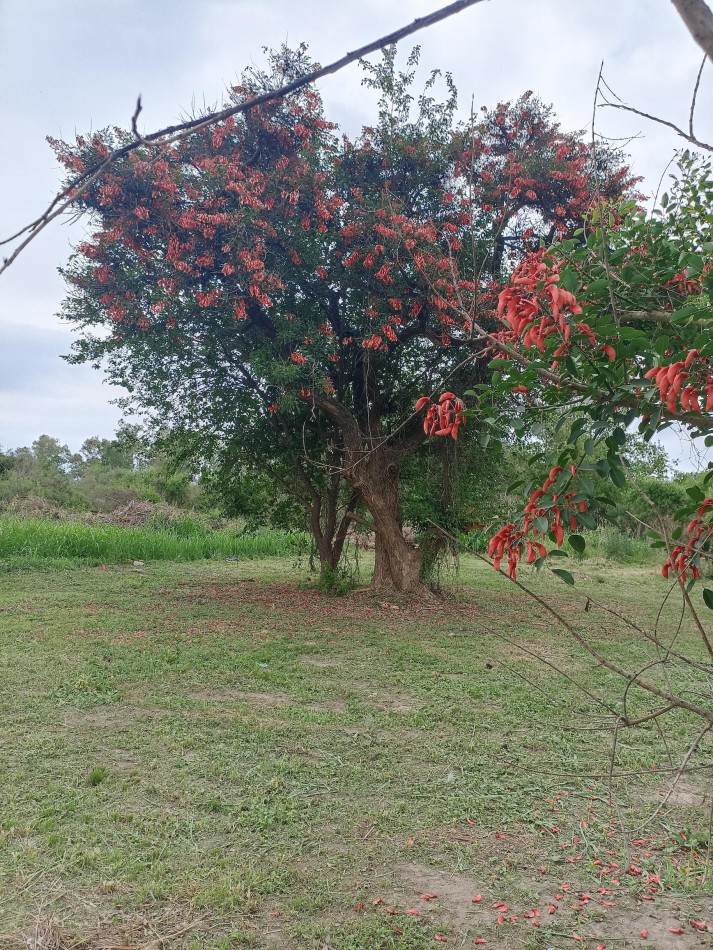 Terreno en venta en Recreo