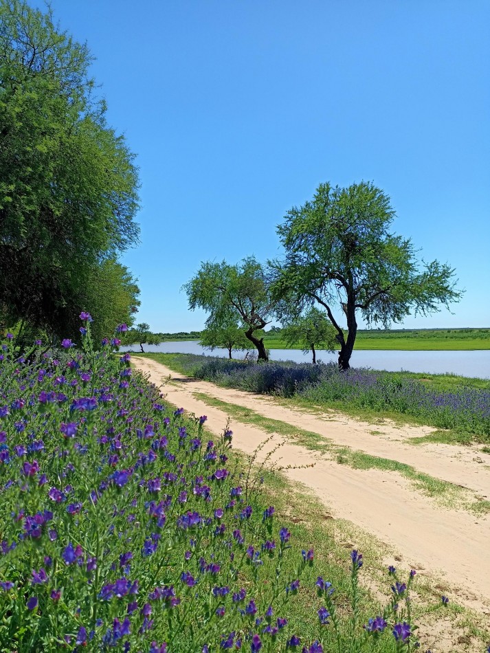 3 Hectareas en venta sobre el rio en Helvecia 