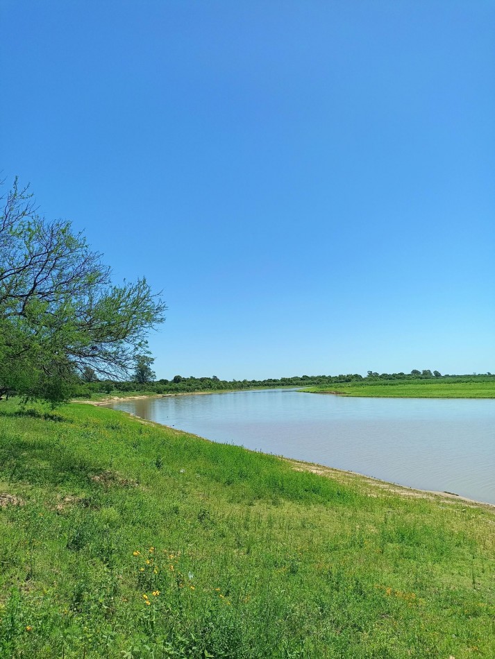 3 Hectareas en venta sobre el rio en Helvecia 