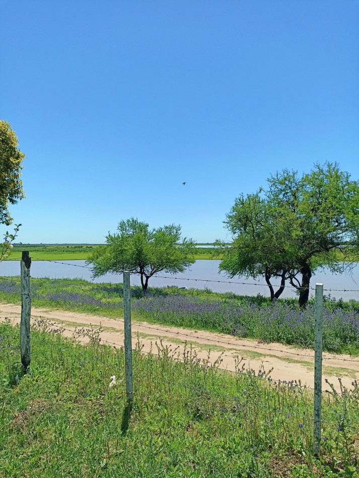 Campo sobre el rio en venta en Helvecia 