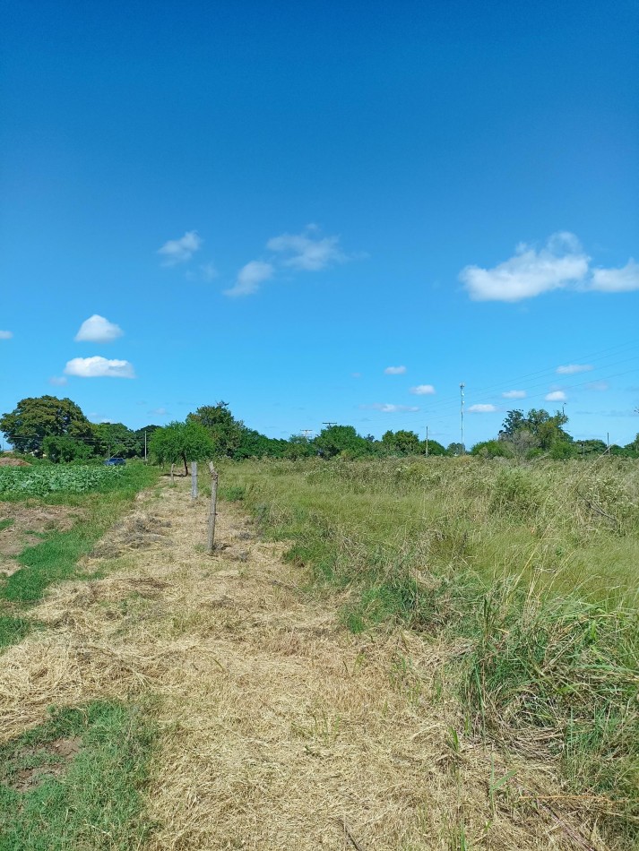 Campo de 4 Hectareas en Helvecia