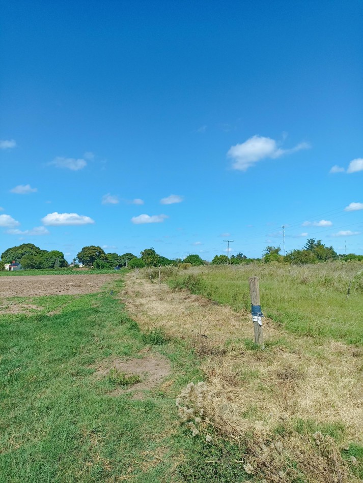 Campo de 4 Hectareas en Helvecia