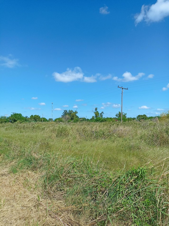 Campo de 4 Hectareas en Helvecia