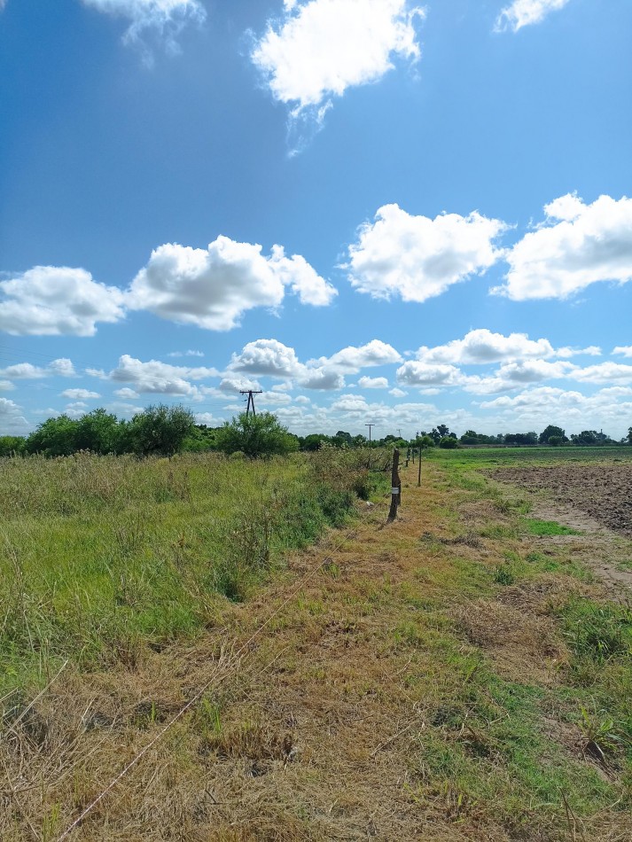 Campo de 4 Hectareas en Helvecia