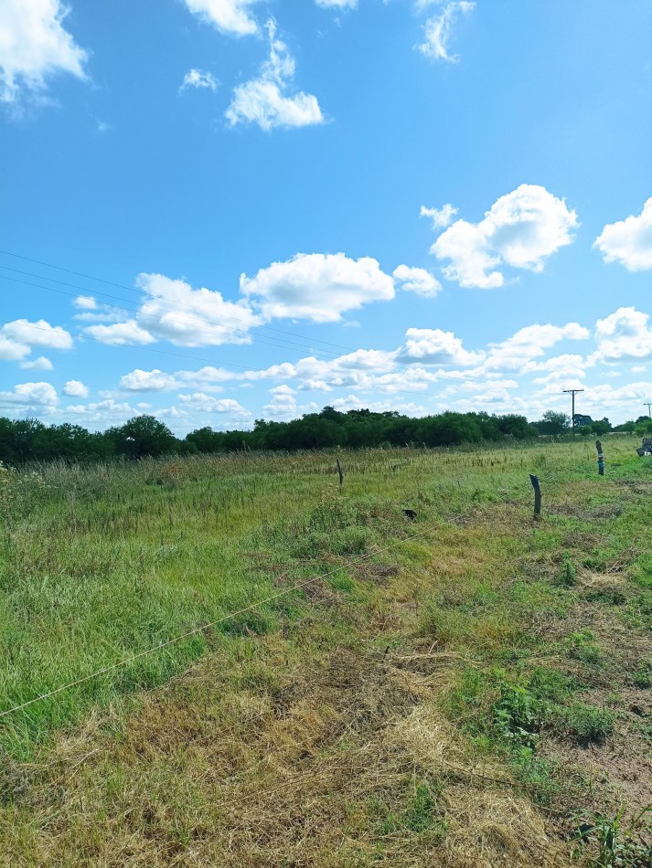 Campo de 4 Hectareas en Helvecia