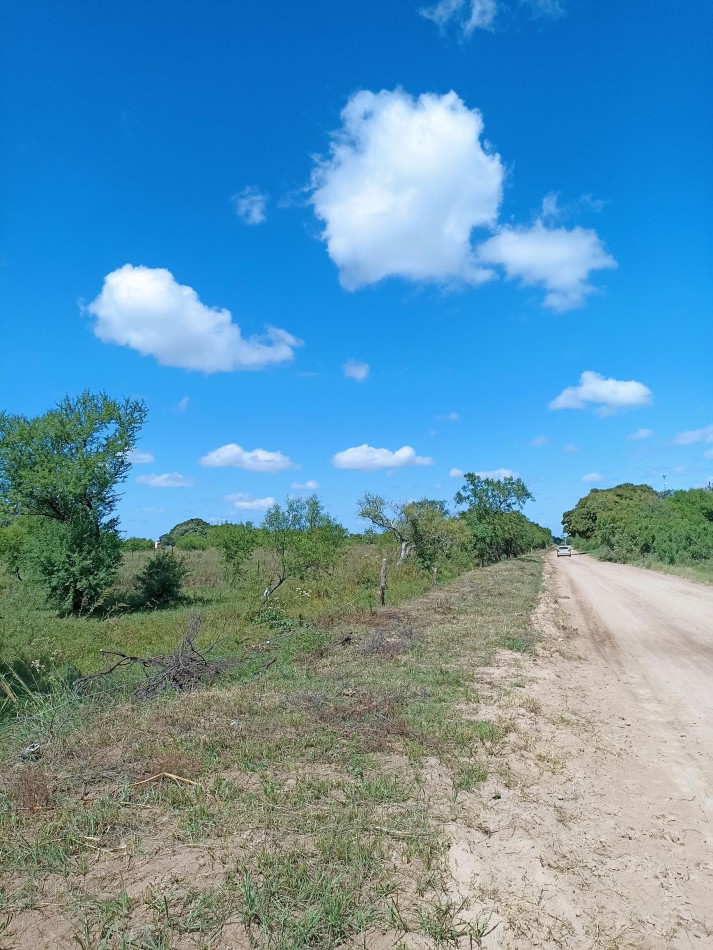 Campo de 4 Hectareas en Helvecia