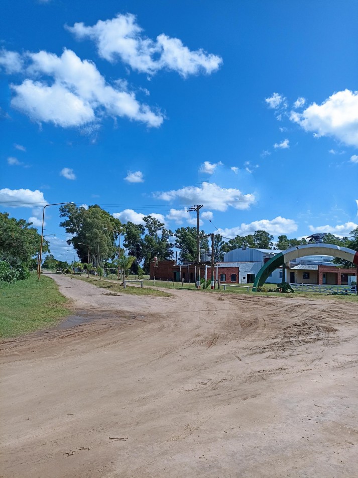 Campo de 4 Hectareas en Helvecia