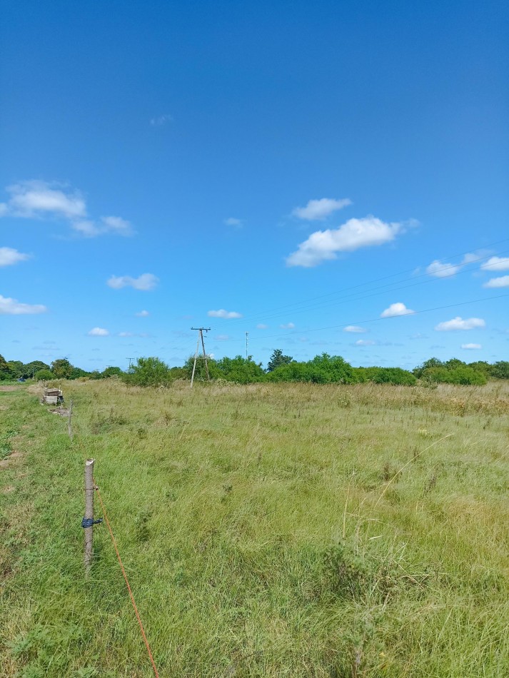Campo de 4 Hectareas en Helvecia