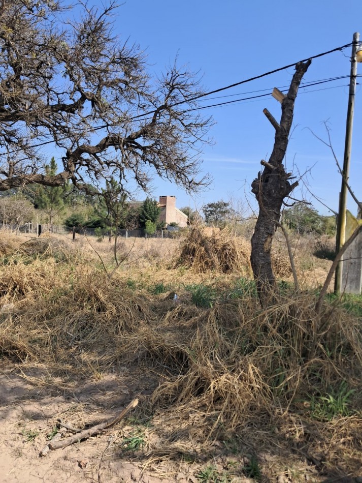 Terreno en venta en Rincon