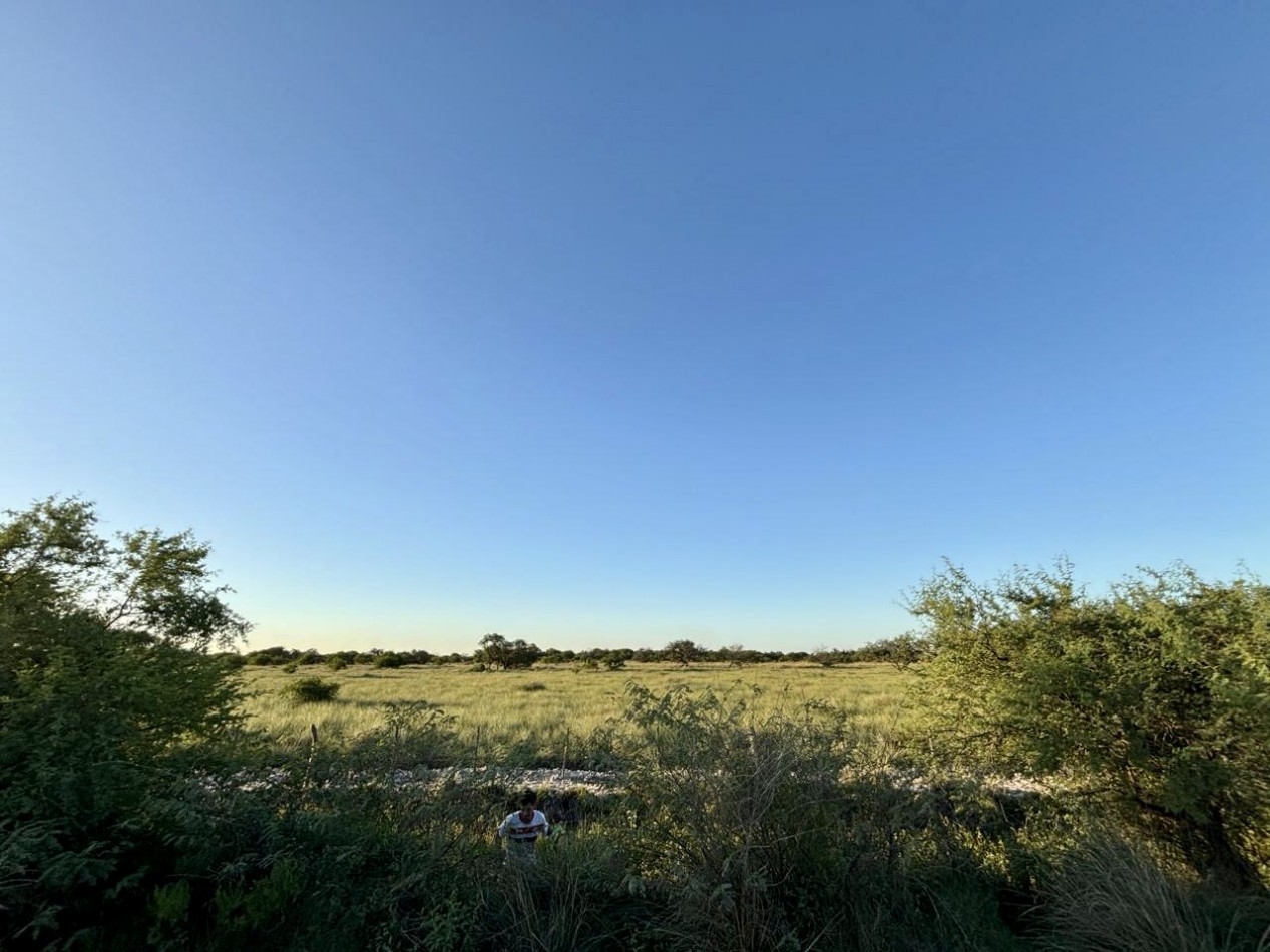 Campo en venta en Helvecia