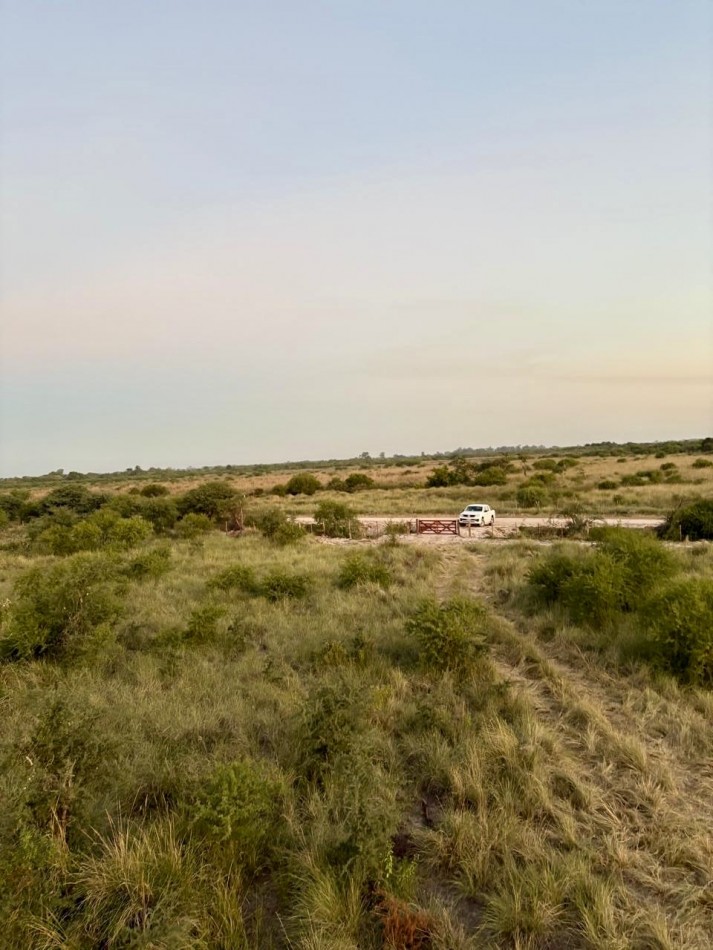 Campo en venta en Helvecia